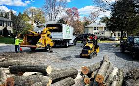 Mulching Services in Olney, IL